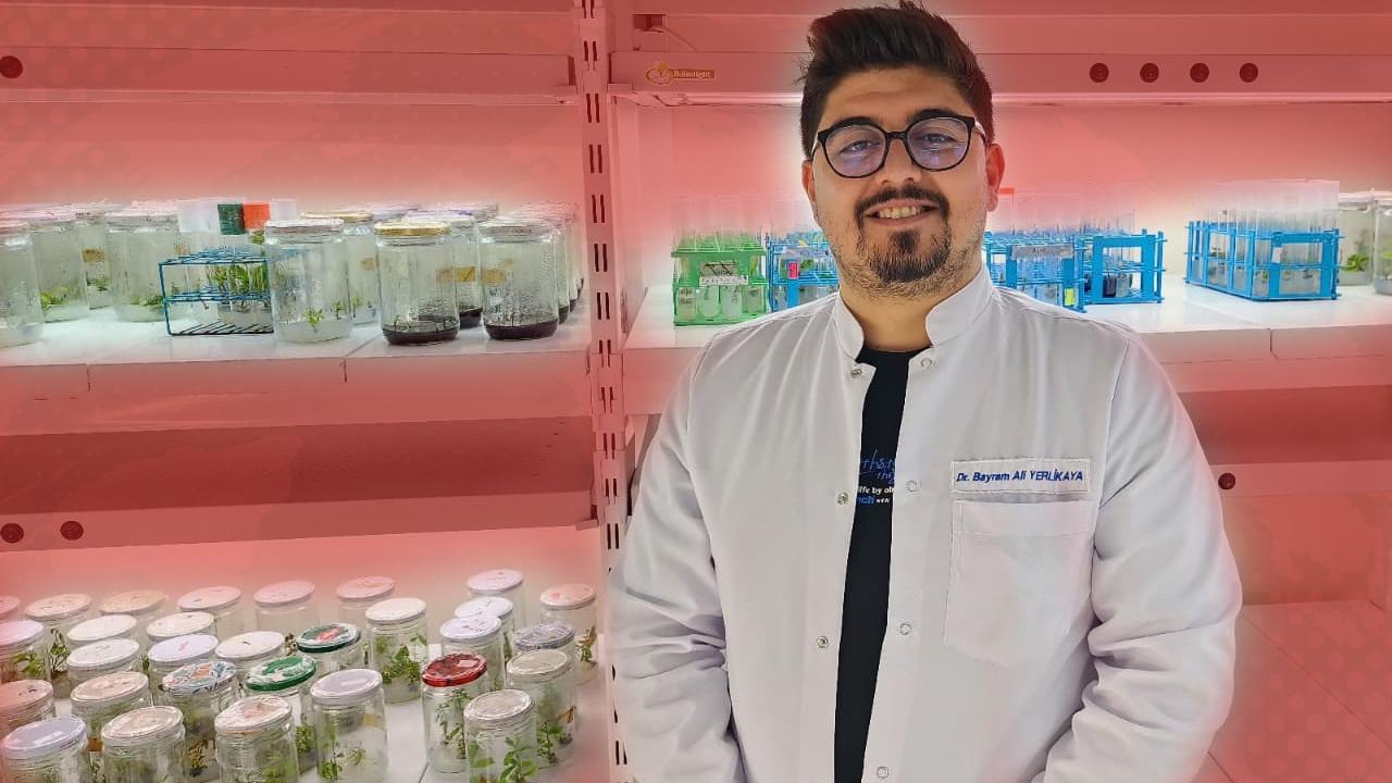 Domateste Yerli Görsel Belirteç Sistemi Geliştiriliyor
