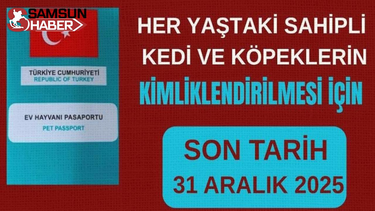 Alaçam'da Evcil Hayvanlar İçin Kimlik Zorunluluğu: Son Tarih 31 Aralık