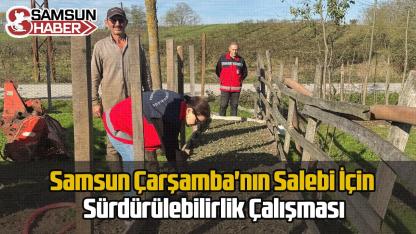 Samsun Çarşamba'nın Salebi İçin Sürdürülebilirlik Çalışması