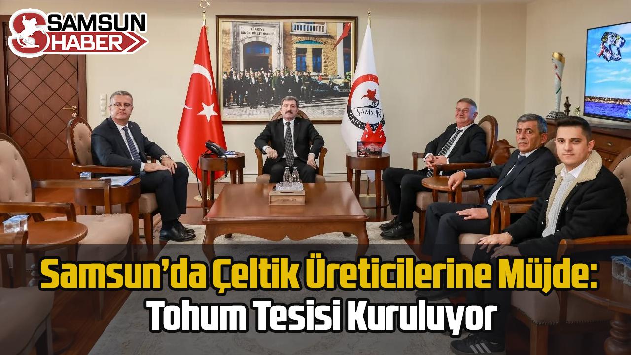 Samsun'da Çeltik Üreticilerine Müjde: Tohum Tesisi Kuruluyor