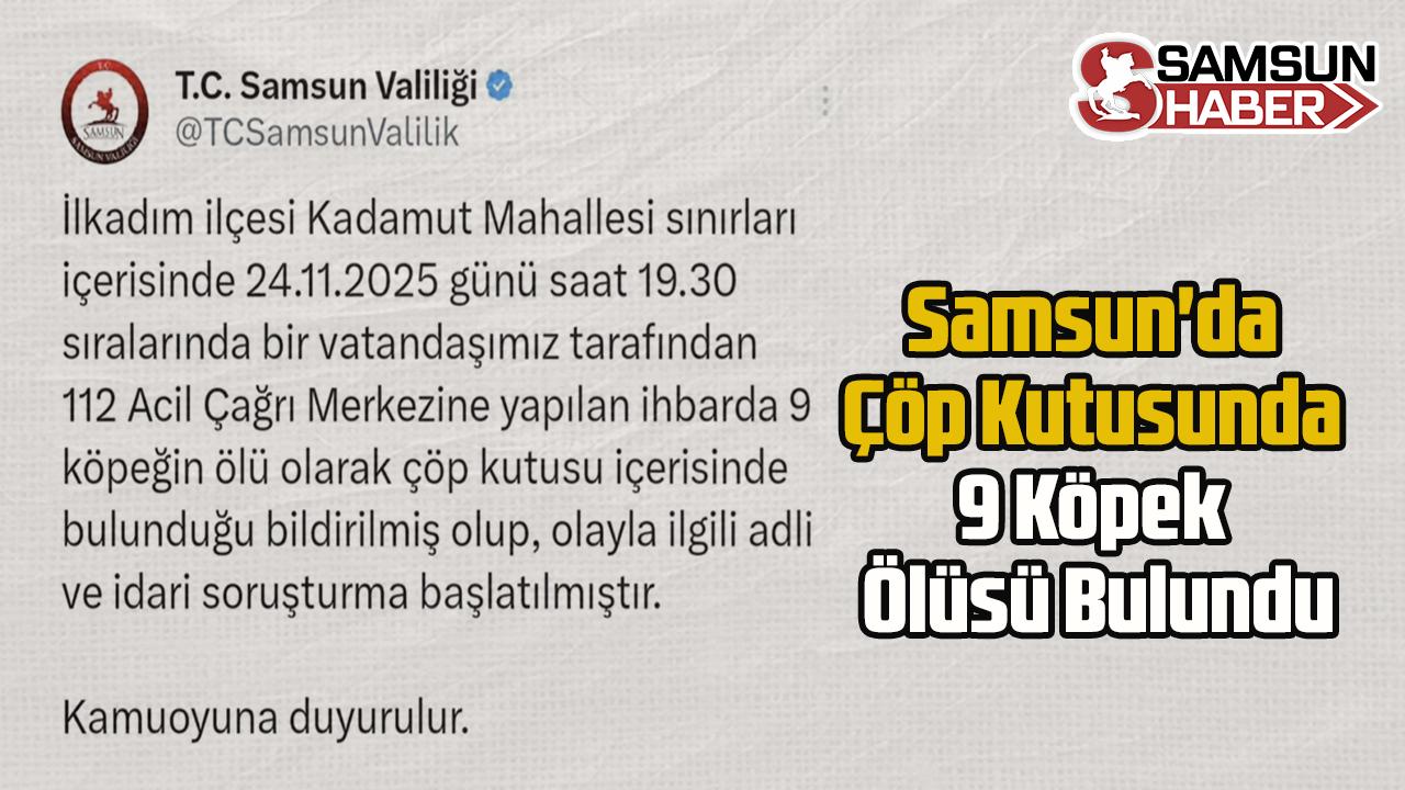 Samsun'da Çöp Kutusunda 9 Köpek Ölüsü Bulundu