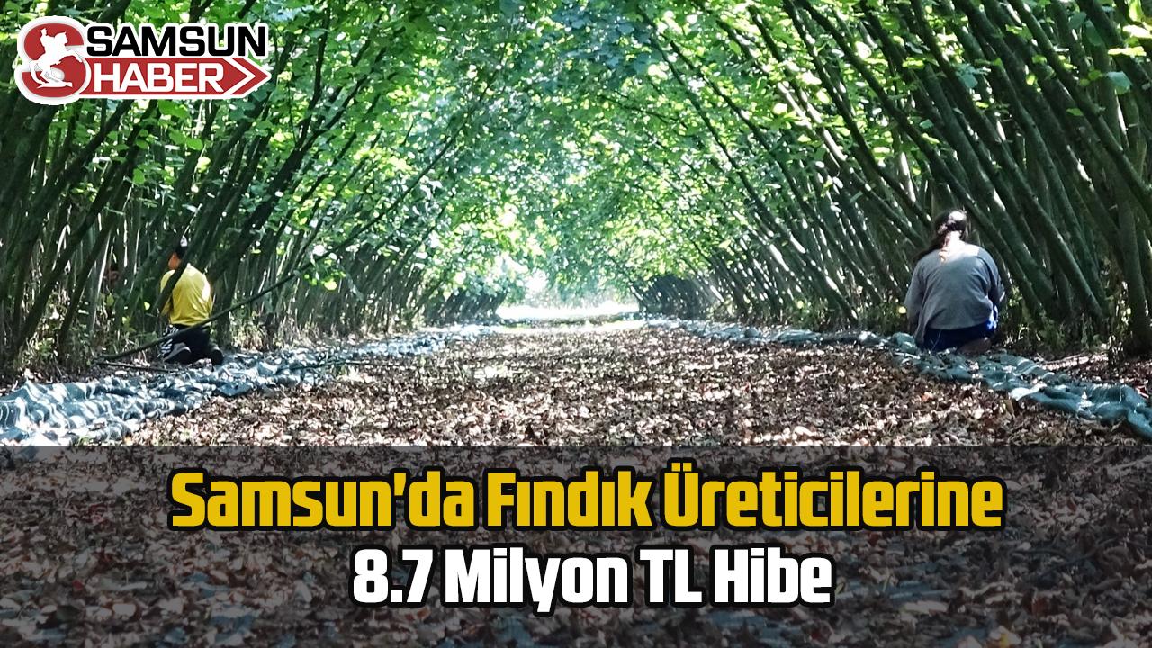 Samsun'da Fındık Üreticilerine 8.7 Milyon TL Hibe