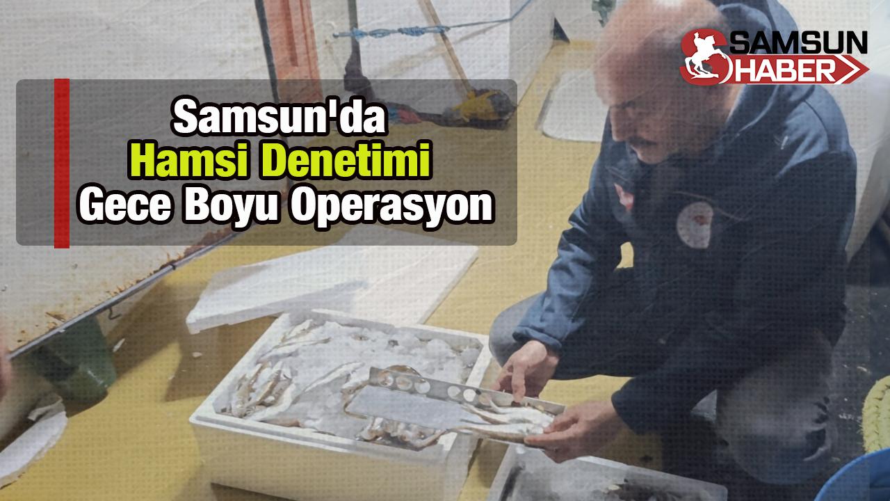 Samsun'da Hamsi Denetimi: Gece Boyu Operasyon