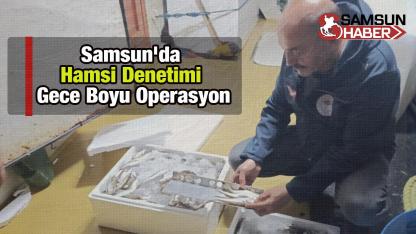 Samsun'da Hamsi Denetimi: Gece Boyu Operasyon