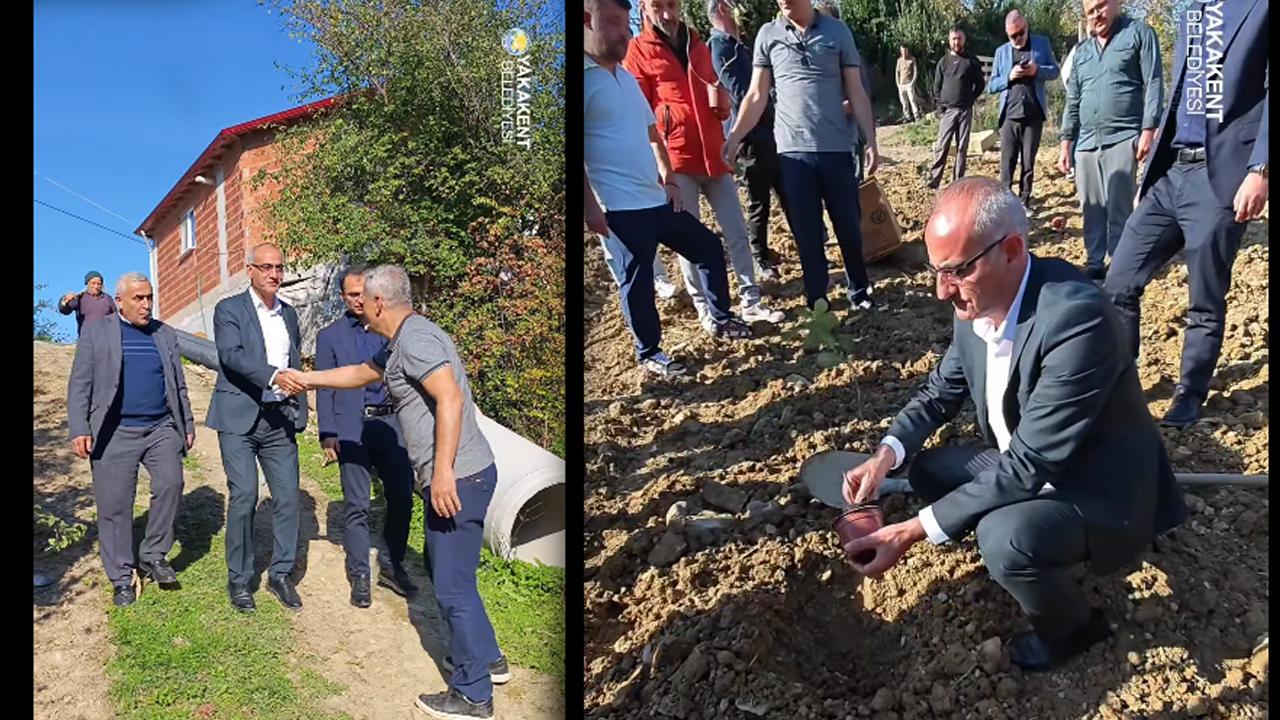 Yakakent'e Sağlıklı Yatırım, Aronya Meyvesi Toprakla Buluştu