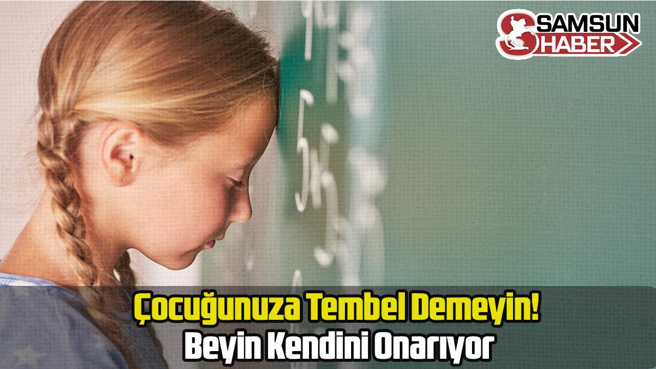 Çocuğunuza Tembel Demeyin! Beyin Kendini Onarıyor
