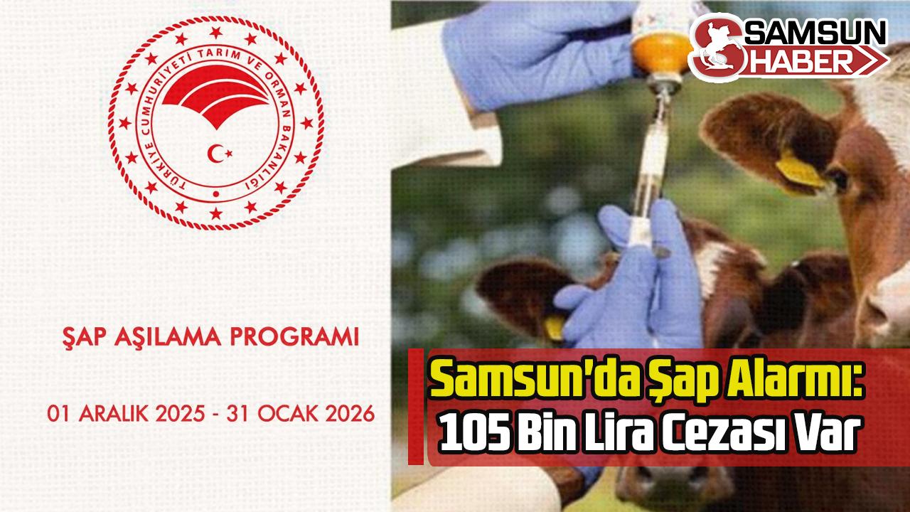 Samsun'da Şap Alarmı: 105 Bin Lira Cezası Var