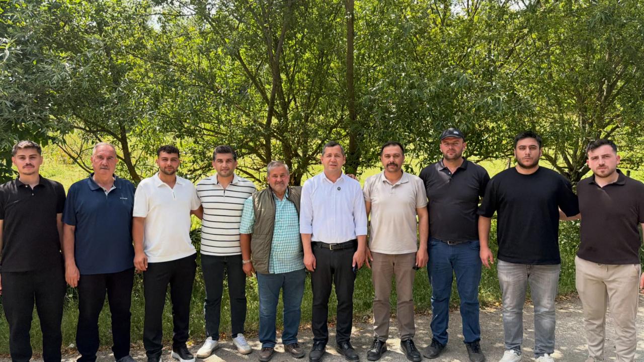 Otomatik Taslak